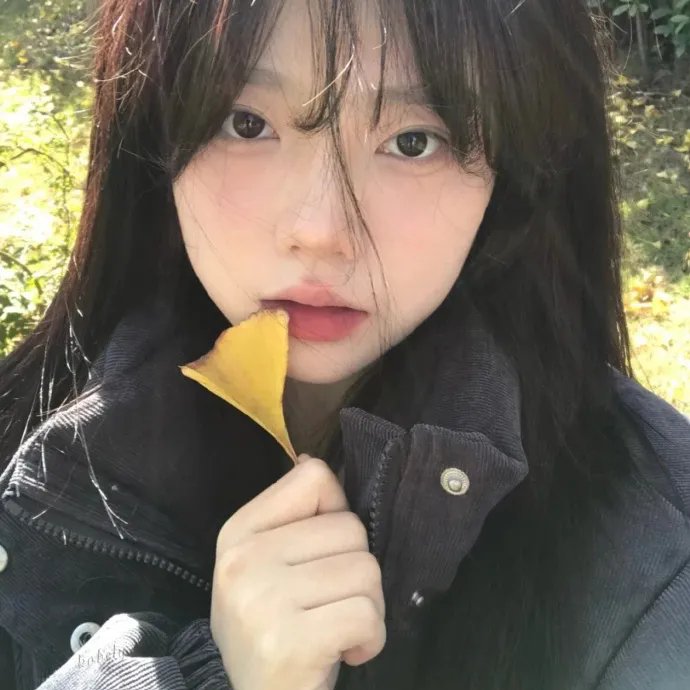 新弦